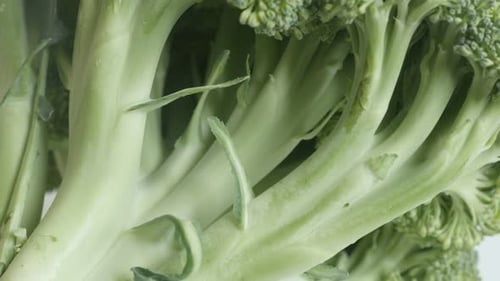 Close Up Shot of Fresh Green Broccoli