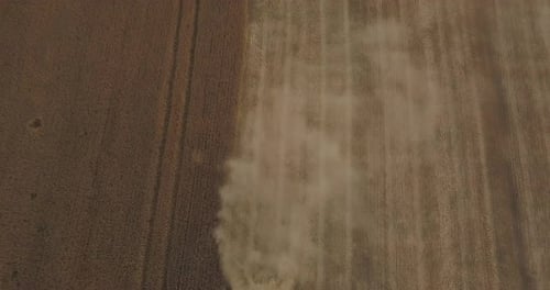 Green Combine Harvests Wheat, Top View