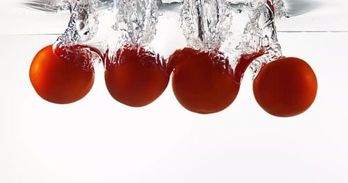 Red Tomatoes, solanum lycopersicum, Fruits falling into Water against White Background, Slow Motion