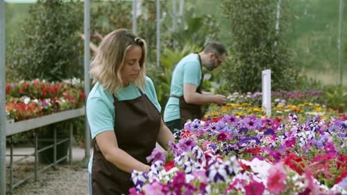Adults tending vibrant flowers in a lush greenhouse