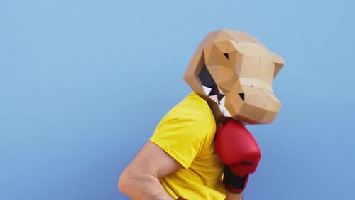 Boxer with Lion Mask Punches at Camera