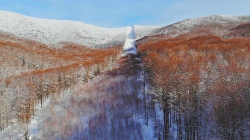 Flight over winter mountain Coniferous winter forest view from above