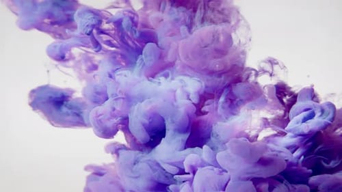 Purple Ink Swirling in a Liquid Medium