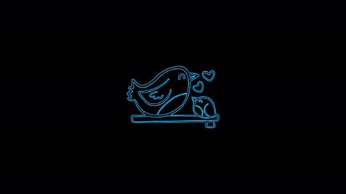 Glowing Neon Love Birds Outline Animation
