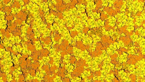 Yellow and Orange Autumn Leaves Background