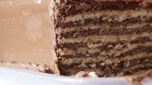 Delicious Layered Chocolate Cake Close-Up