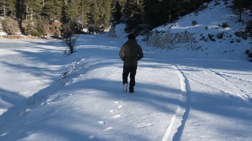 Snowy Nature Walk