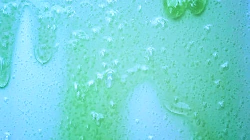 Abstract Green Gel Bubbles Background