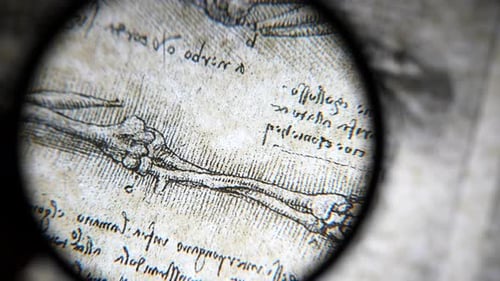 Magnifying Glass Reveals Scientific Anatomy Illustration