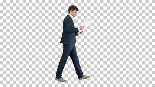 Concentrated Businessman reading documents, Alpha Channel
