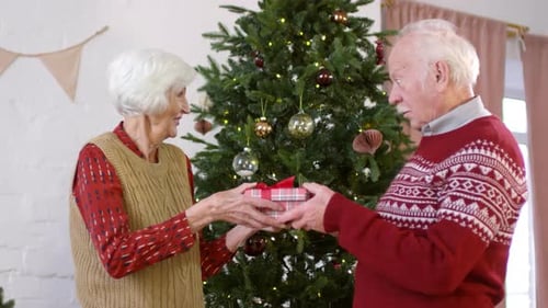 Senior Couple Exchanging Christmas Gift with Affection