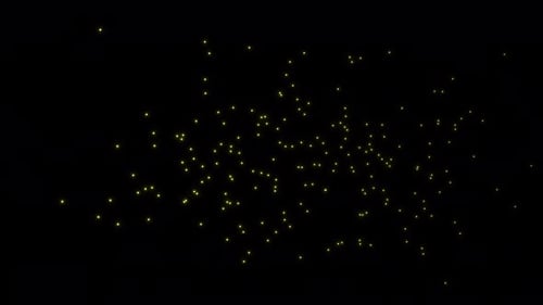 Fireflies