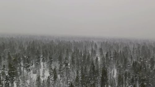 Luftaufnahme Starker nasser Schneefall, Winterlandschaft im Schnee, ein Schnee liegt auf den Ästen von