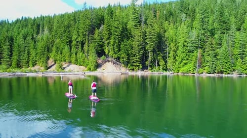Couple on stand up paddle board oaring in river 4k