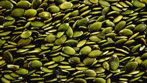 Pumpkin seeds are pouring on a black background.