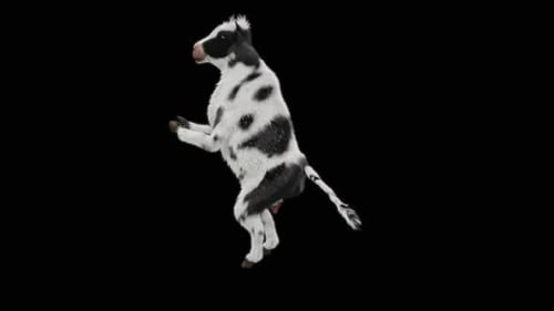 Realistic 3D Cow Standing and Rotating Animation