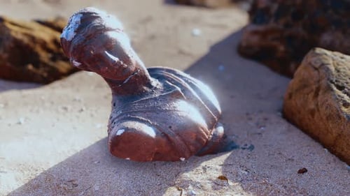 Ancient Woman Bust at Sand Beach