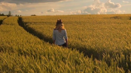 young caucasian bohemian female wearing hat in a barley field during sunset