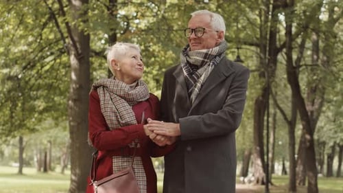 Elegant Senior Couple Walking in Park