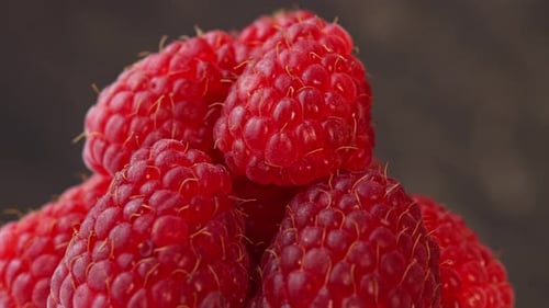 Raspberries Spinning on a Plate on Black Background for a Restaurant Juicy Raspberries for