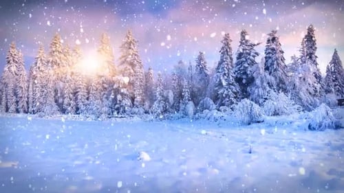 Snow