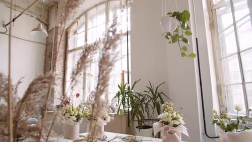 Cozy Interior of Floristic Workshop