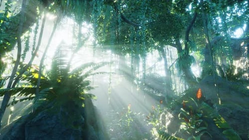 Lush Tropical Jungle with Sunbeams Through Misty Canopy