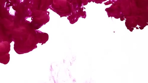 Maroon Ink Swirling Abstractly on White Background