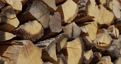 Low Angle Shot Oak Brennholz wird in einem Holzstapel getrocknet