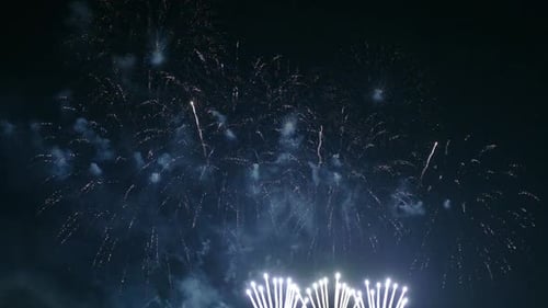 Colorful Firework display at night on sky background