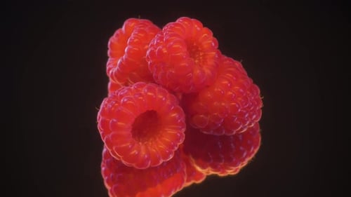 Raspberry 360 degree rotation