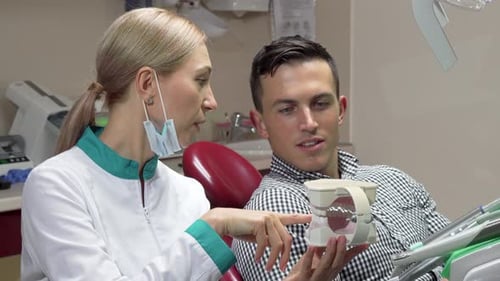 Dentist Explains Jaw Model to Young Adult Patient
