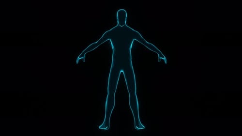 Le
corps humain. Rotation du modèle humain.