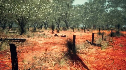 Rural Farm Boundary Fencing in Poor Condition and Long Dead Dry Grass
