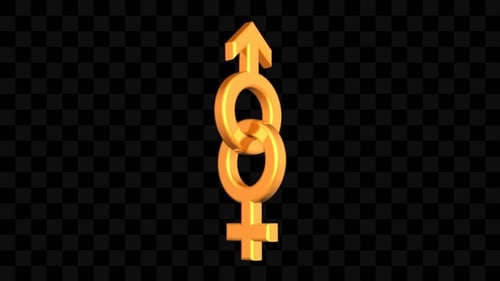 Símbolo Hombre Mujer