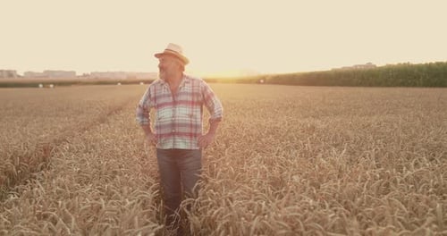 Farmer Takes Off Hat, Wipes Forehead, Rejoices and Looking Around in Sunny Field