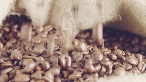 Coffee Beans Being Poured into Sack