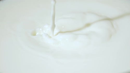 Milk Pours and Splashes in Slow Motion