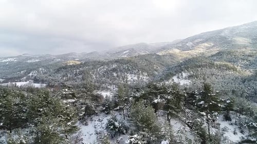 Frozen lake and snow.