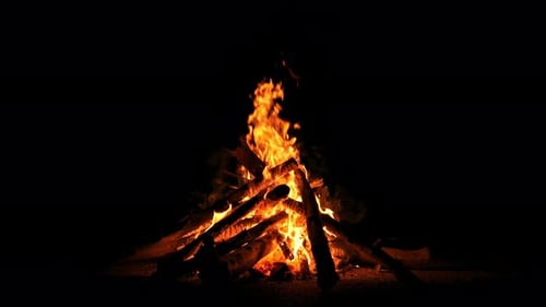 Camp Fire (4K)