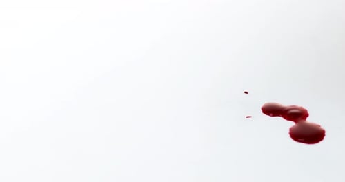 Blood Dripping against White Background, Slow Motion 4K