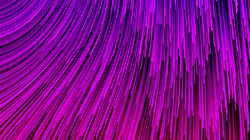 Dynamic Abstract Line Flow in Purple and Magenta