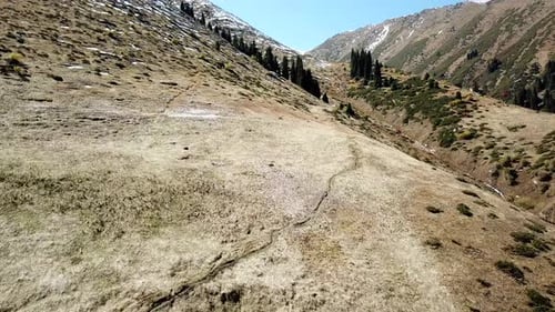 Autumn landscape in the mountains. Snowy peaks, yellow-green grass, orange-red bushes