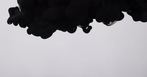 Swirling Black Ink Spreads in Water