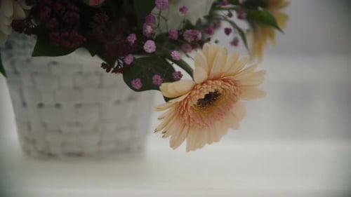 Elegant Floral Arrangement with Pink and Yellow Daisies