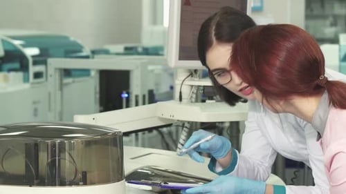 Two Women Working in Modern Medical Laboratory