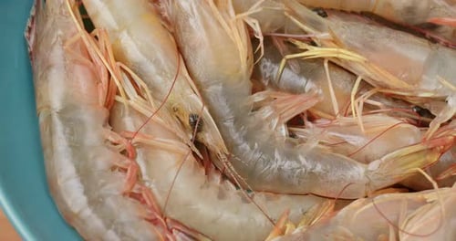 Uncooked Prawns Filling a Blue Bowl