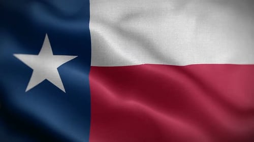 Realistic Waving Flag of Texas Loopable Motion Graphic
