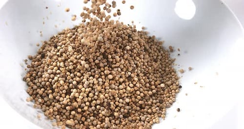 Pouring White Peppercorns into White Bowl