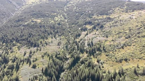Aerial Panoramic View of Green Mountain Range and Hills in Valley of Carpathian